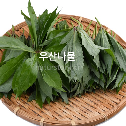 우산나물 1kg   (예약판매)5월중 발송예정